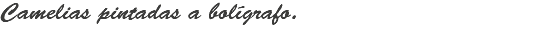Camelias pintadas a bolígrafo.